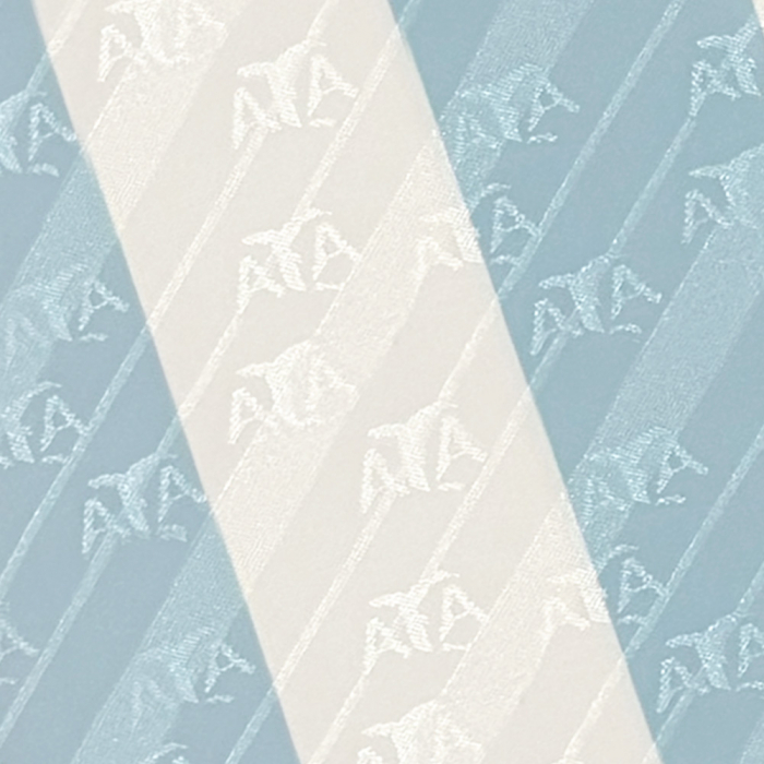 Argentina 1994 World Cup Finals No 10 Retro Shirt