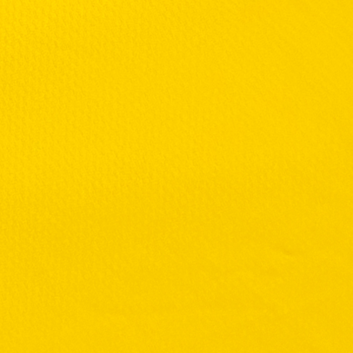 Everton 1995 Home FA Cup Final Goalkeeper Shirt