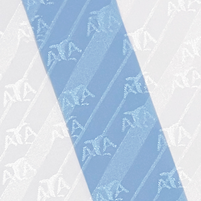 Argentina 1994 World Cup Finals No 10 Retro Shirt